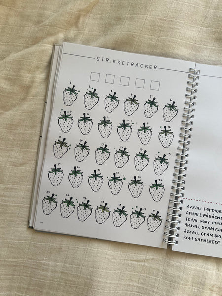 The Bullet Journal for Knitters 2025 - Norsk